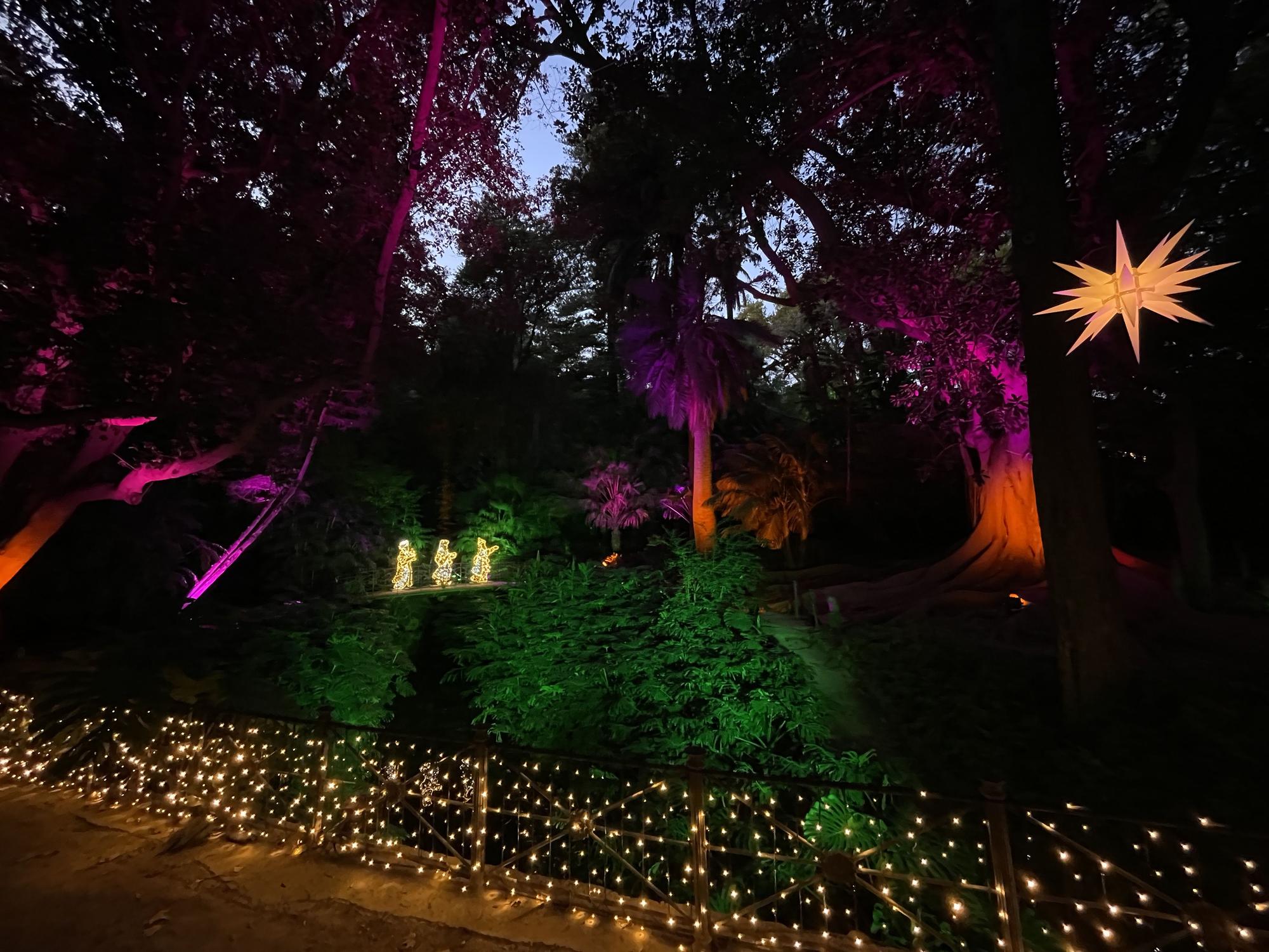 El Jardín Botánico Histórico La Concepción enciende sus luces de Navidad