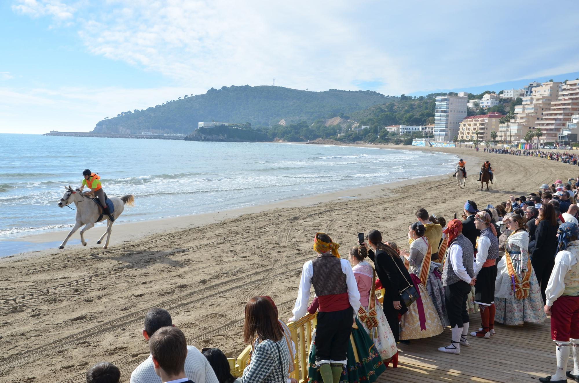 Las imágenes más vistosas de la carrera de caballos y burros de Orpesa