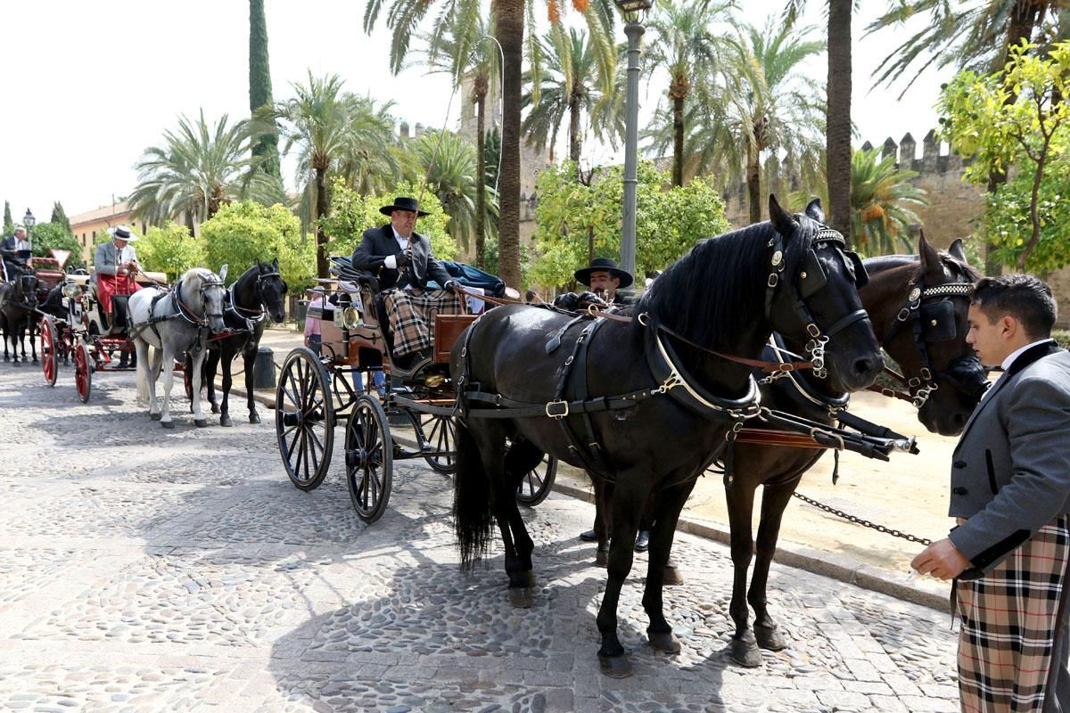 4º Concurso Internacional de Atalaje de Tradición en Cabalcor 2018