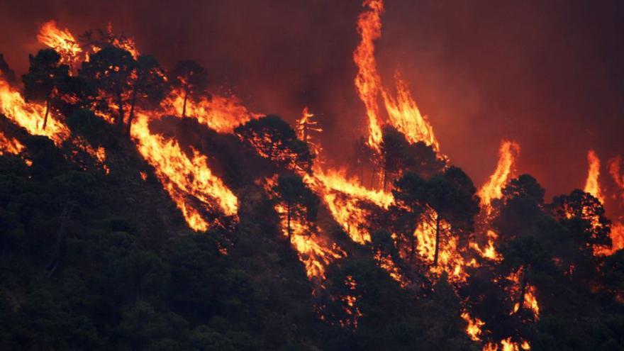 Incendio de Pujerra. | E.P.