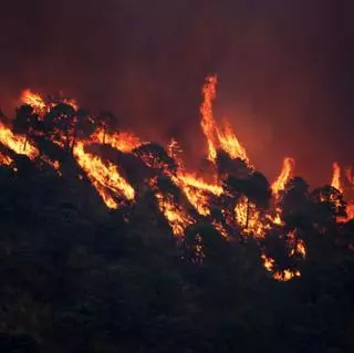 Dudas sobre el punto en el que se inició el último incendio de Sierra Bermeja