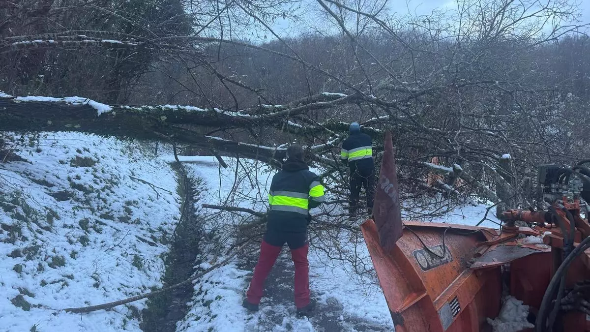 Laviana limpia sus carreteras de árboles y nieve por el temporal