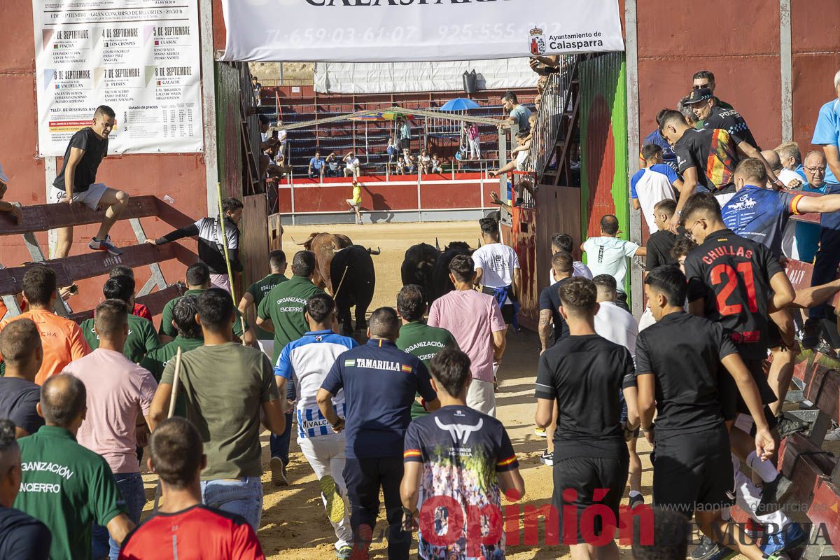 Sexo encierro de la Feria Taurina del Arroz, con la ganadería de Galache, que se ha saldado con un herido por asta de toro