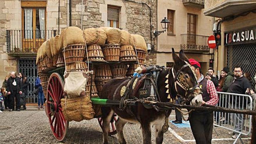 Moià celebra una Festa de Sant Antoni que omple els carrers del centre