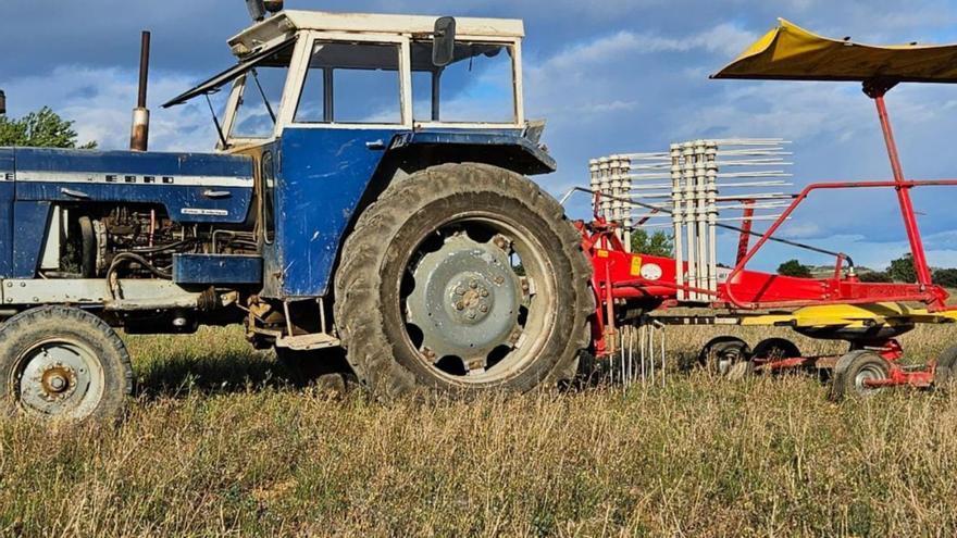 Parcela de forraje en Alcalá del Obispo (Huesca), que se destinará a pasto de animales por la sequía. | UAGA