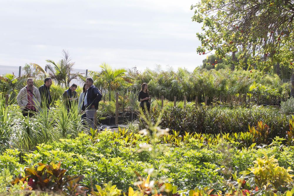 Vivero de Santa Cruz de Tenerife