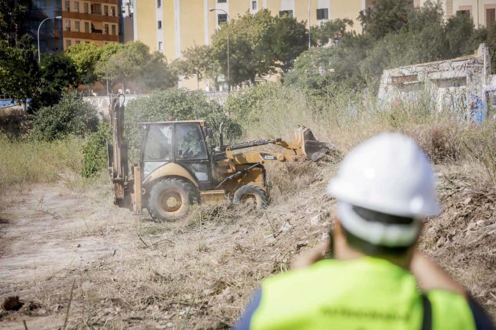 El futuro bosque urbano de Palma, en marcha