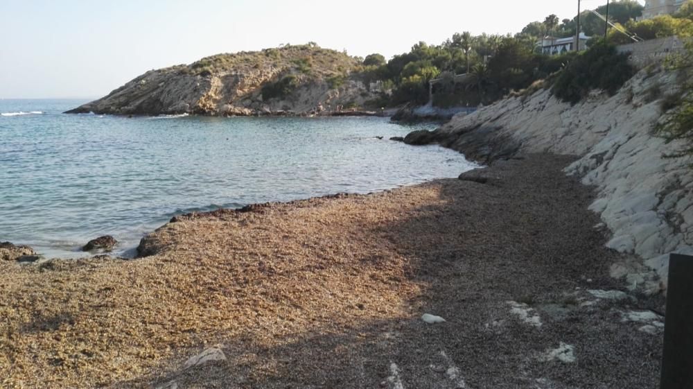 Las playas de la Coveta Fumà, llenas de algas