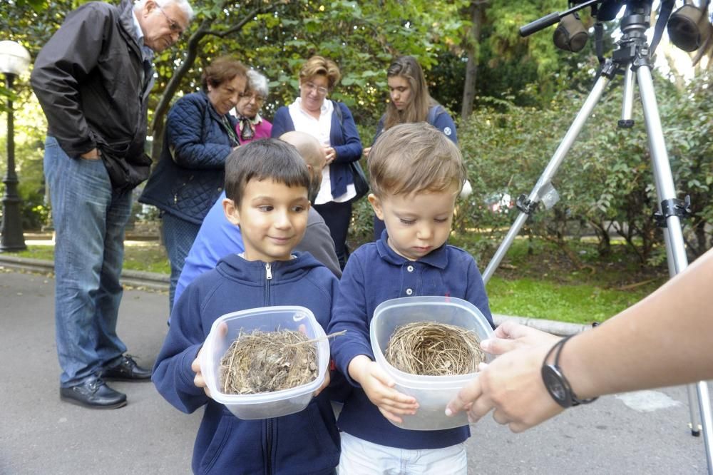 Día Mundial de las Aves en A Coruña