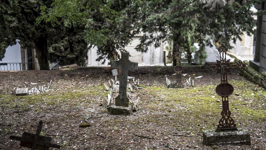 GALERÍA | El cementerio de Cáceres en la víspera de Todos los Santos