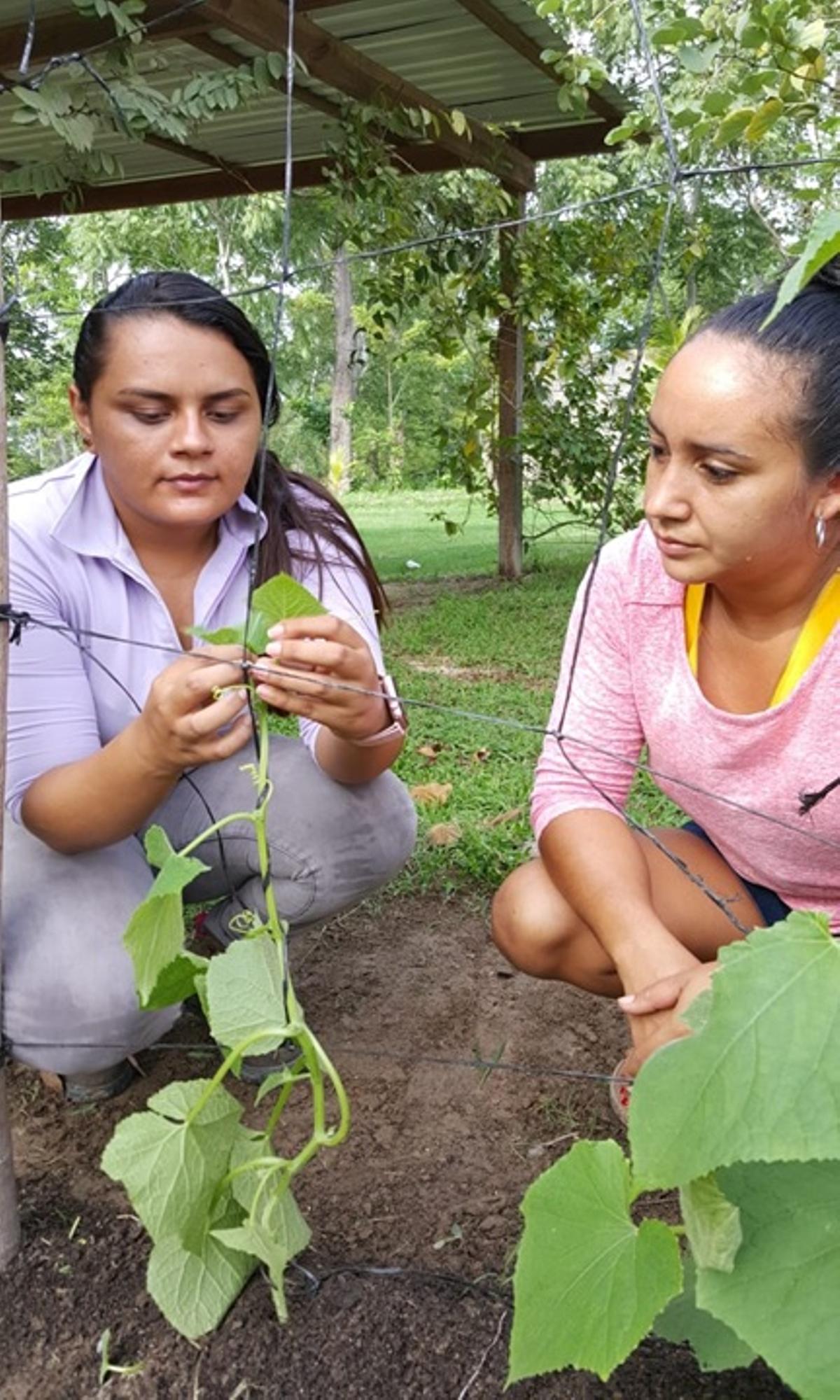 Dos mujeres en la huerta de la escuela.