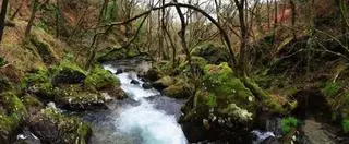 La crecida del río Valga alimenta el esplendor de sus "fervenzas"