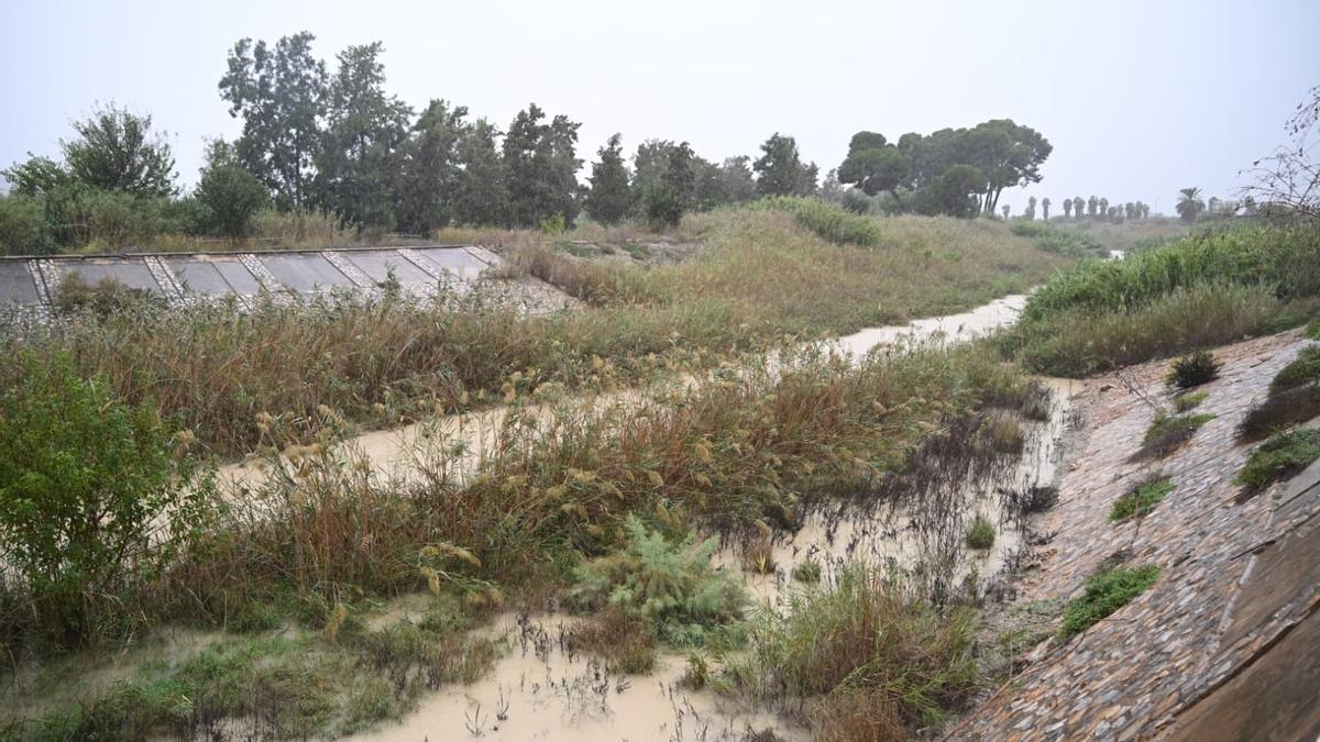 Así baja el Segura en el punto donde se rompió la mota en la dana de 2019