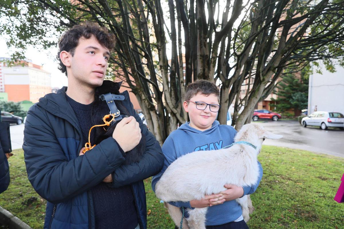 La bendición de animales en La Magdalena, en imágenes