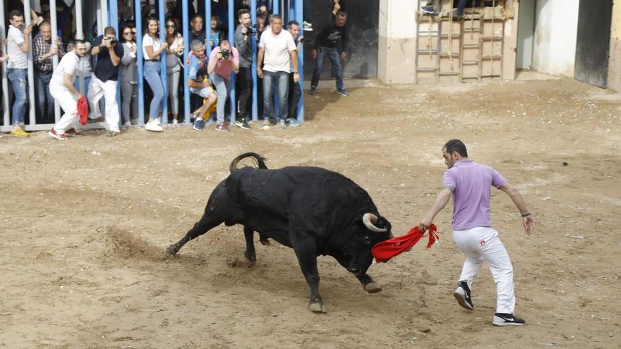 Los &quot;bous al carrer&quot; podrían volver a finales de julio pero en plaza portátil