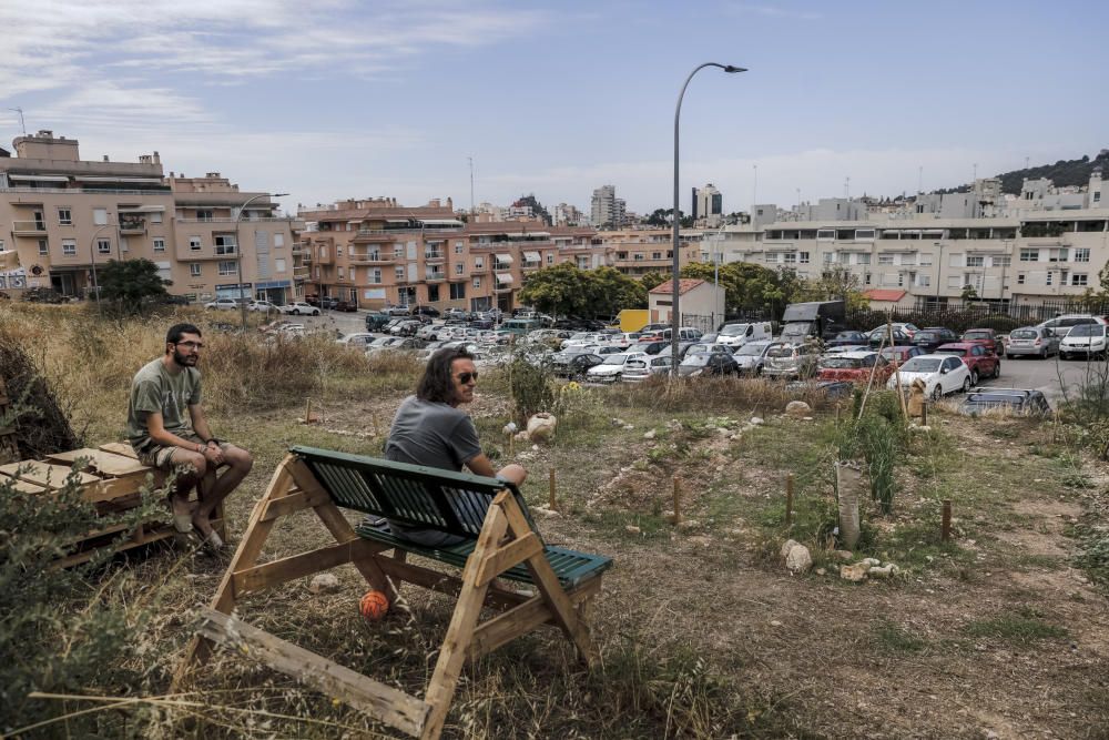 Son Espanyolet estrena huerto