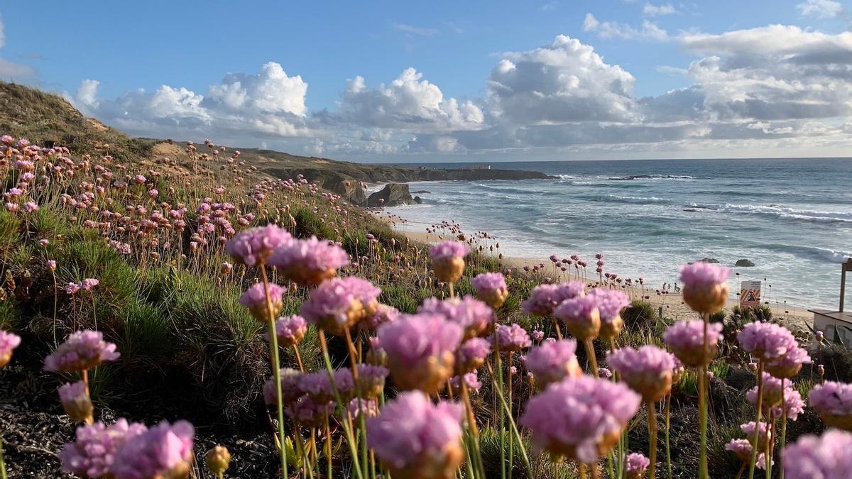 Almograve, Alentejo