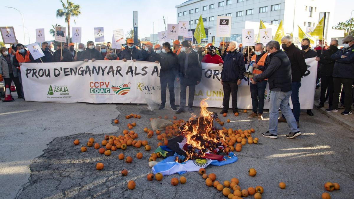 Los dirigentes agrarios, ayer, queman frutas y las banderas argentina y sudafricana. | PERALES IBORRA