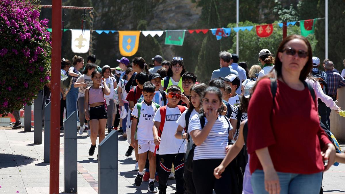 Los escolares de Ibiza visitan la feria Eivissa Medieval