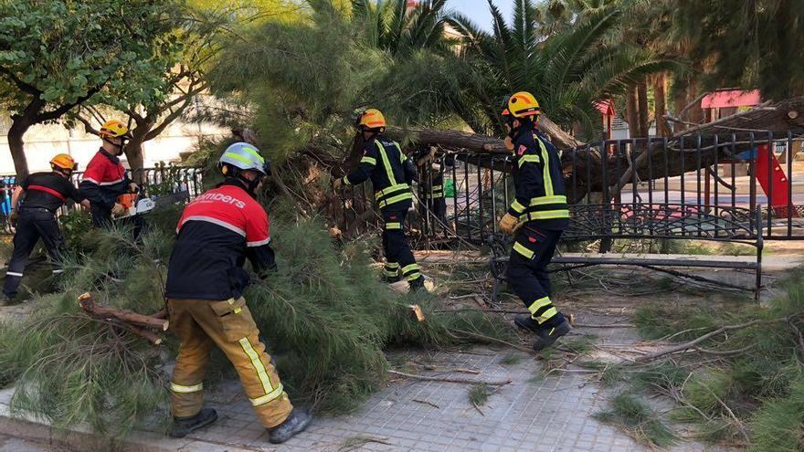 El árbol caído en Elda