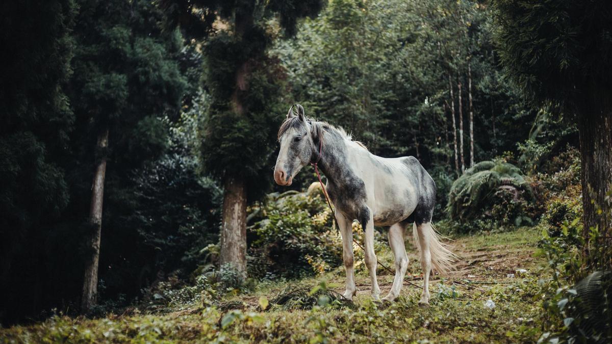 Horóscopo hoy: Conoce tu suerte según tu signo del zodiaco.