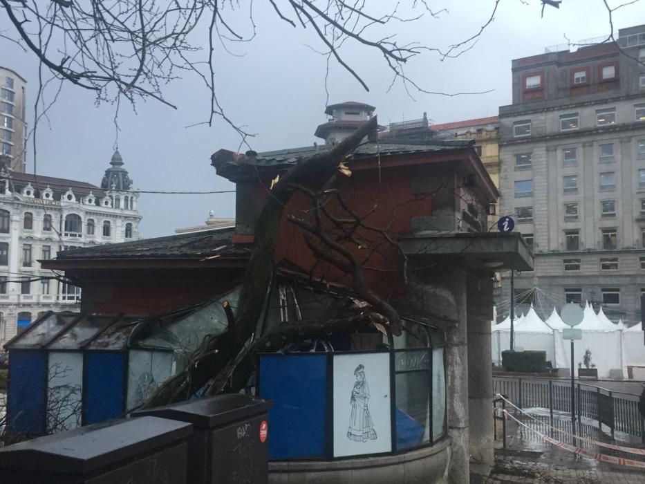 Destrozos en El Escorialín