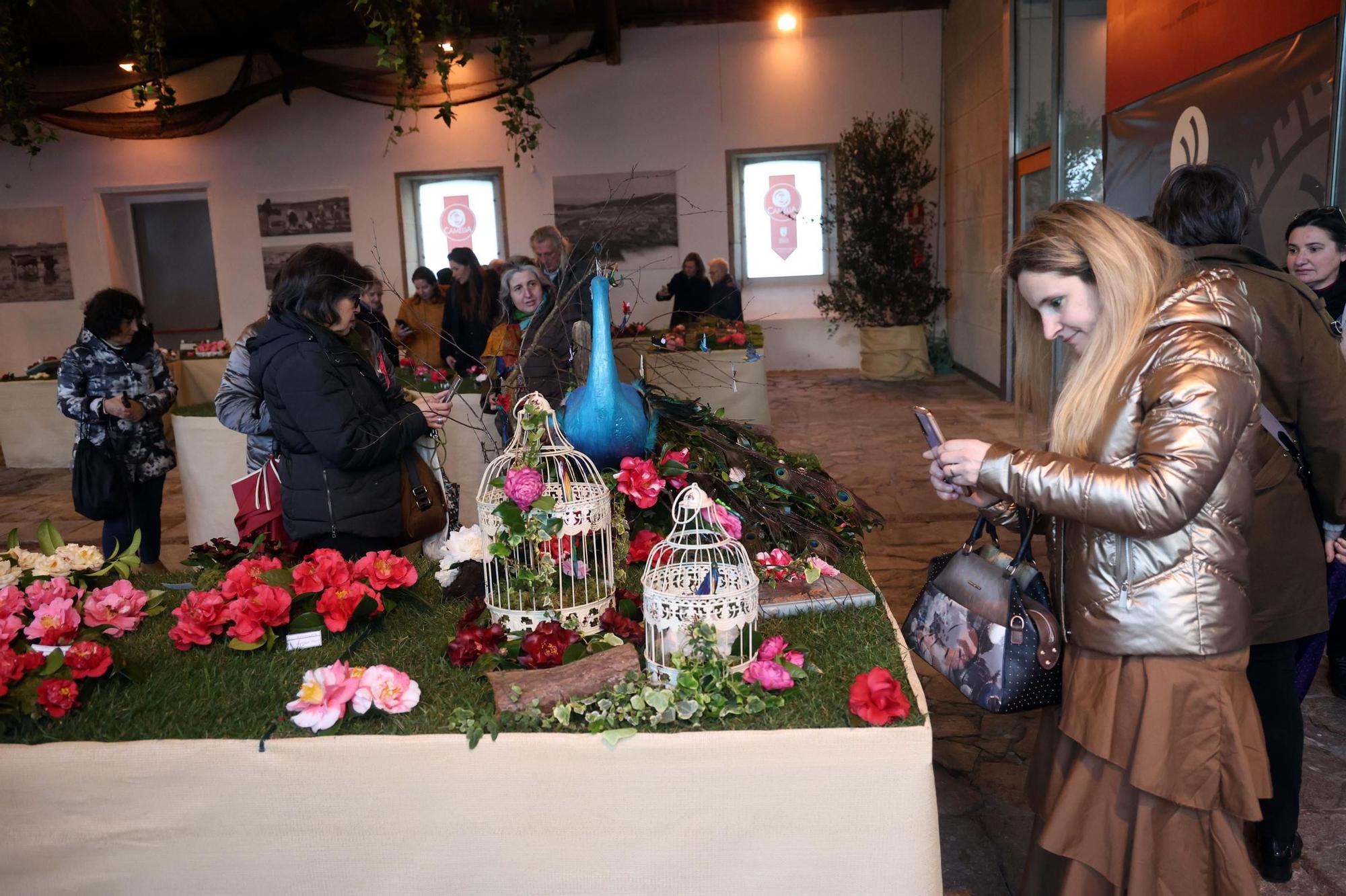 Así fue la 59 exposición internacional de la camelia, en Vilagarcía.