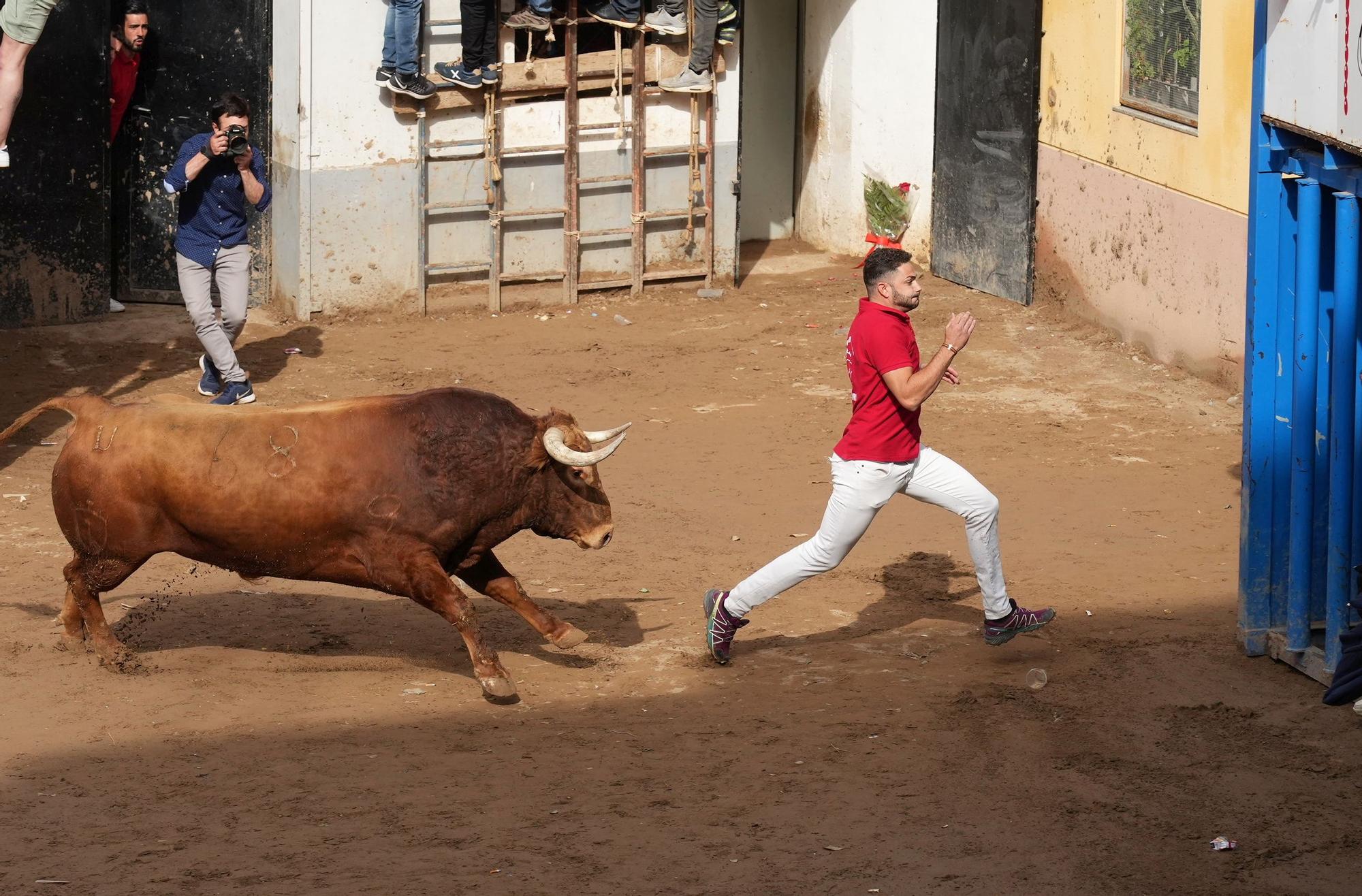 Las imágenes de la última jornada de las fiestas de Almassora