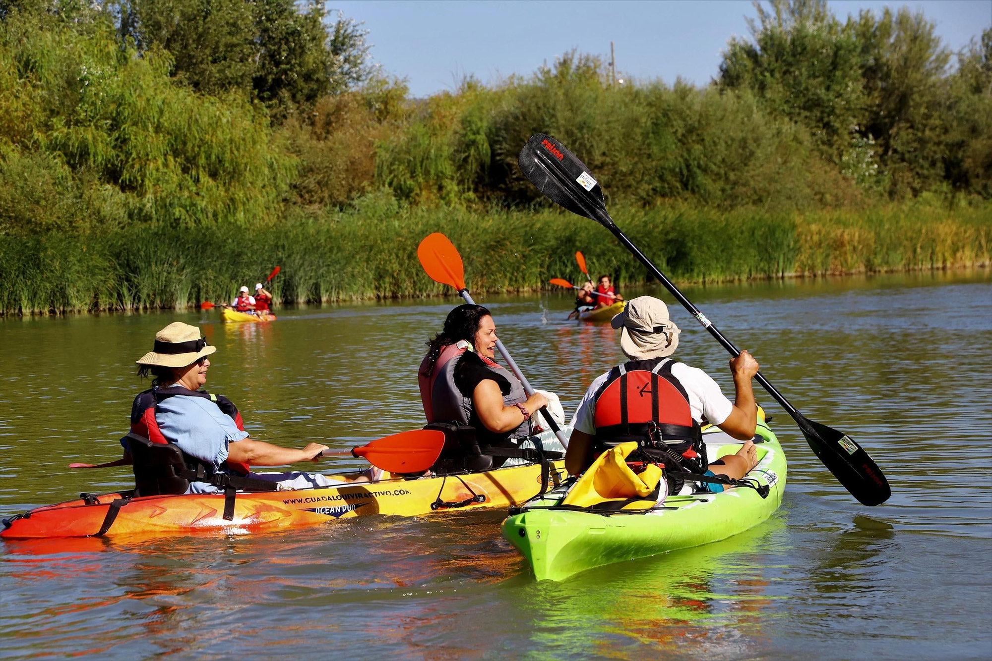 Paseos en kayak por el róio Guadalquivir