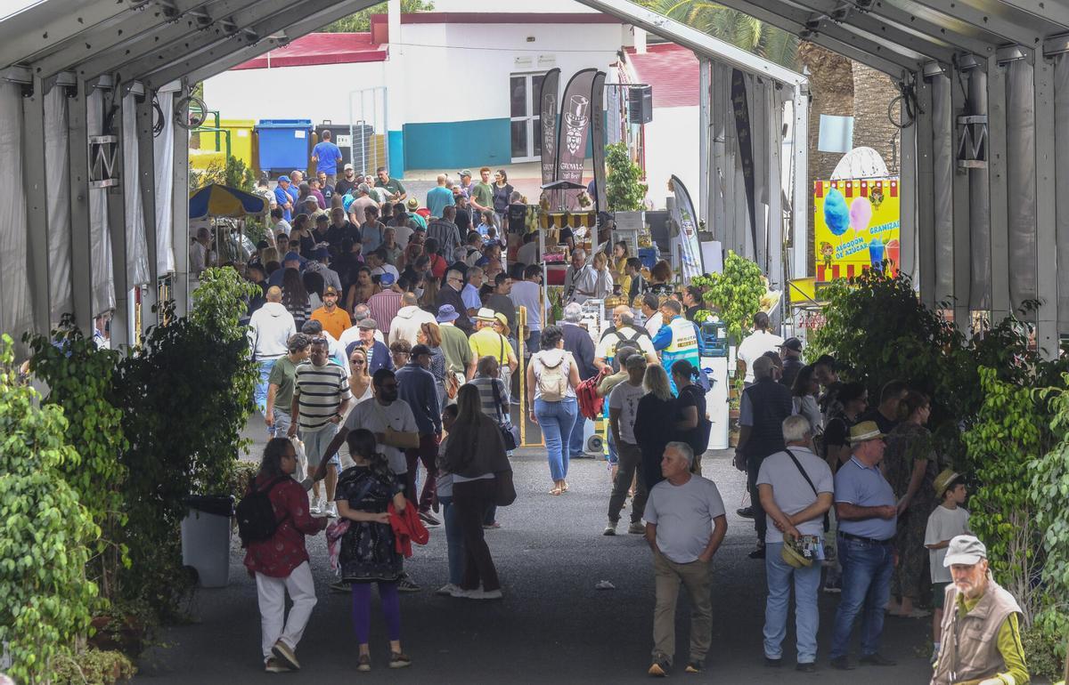 Feria de Ganado de Gran Canaria