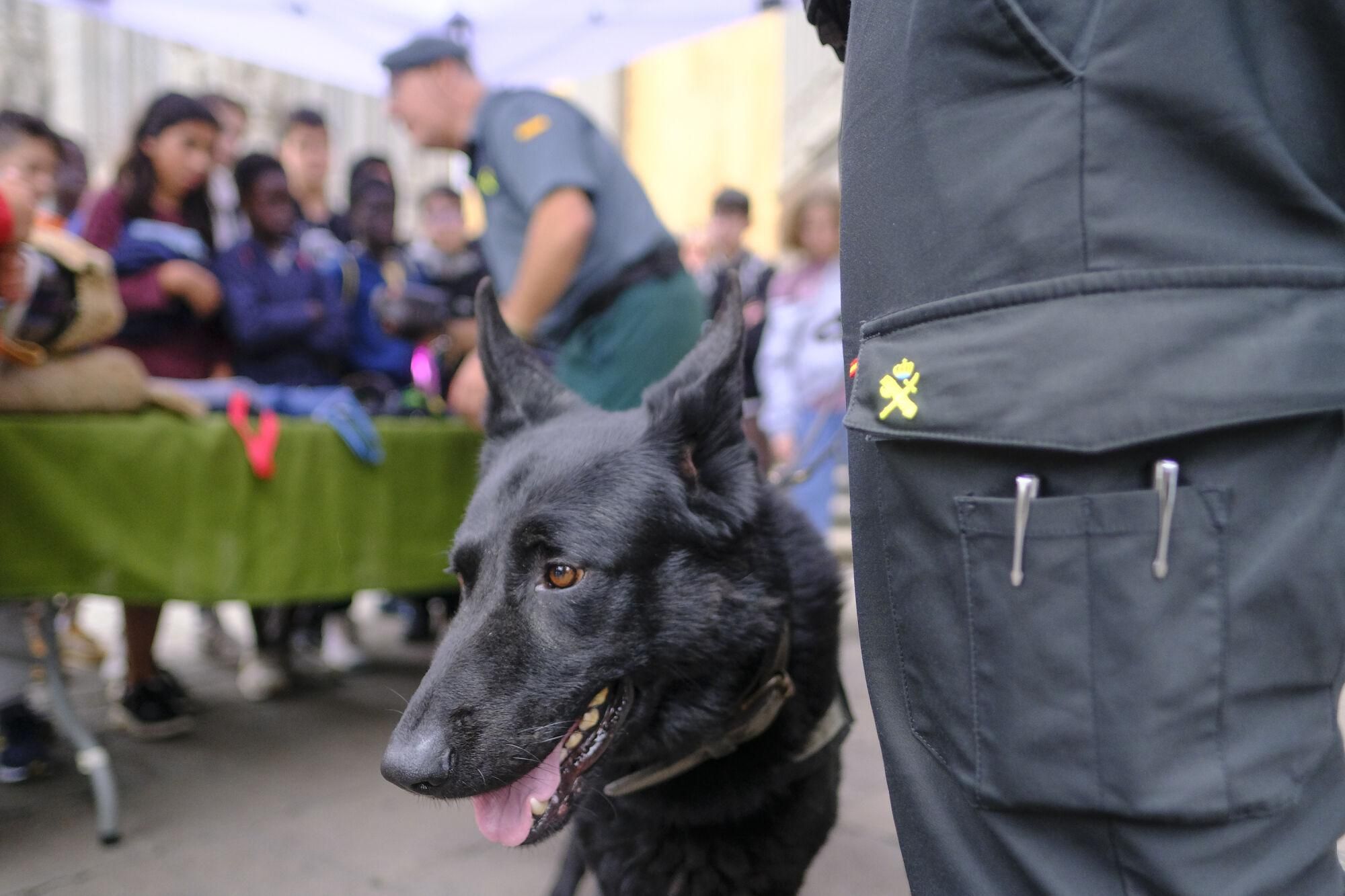La Guardia Civil celebra el 181 aniversario de su fundación con un acto en Arucas
