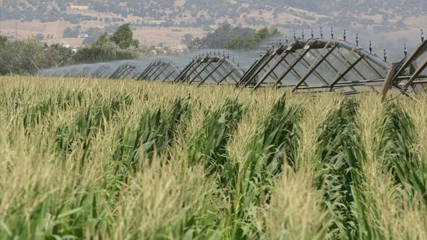 Ofensiva de la Junta para lograr más riegos en Córdoba y en la comunidad