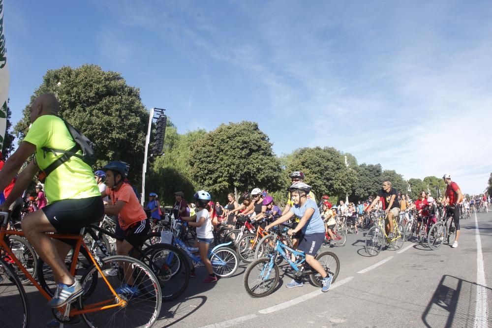 XX Día de la Bicicleta en Valencia