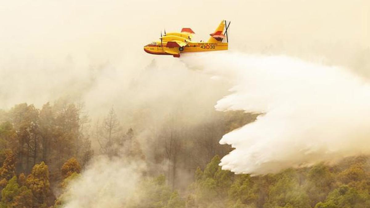 Un hidroavión trabaja en las labores de extinción del incendio de Tenerife.