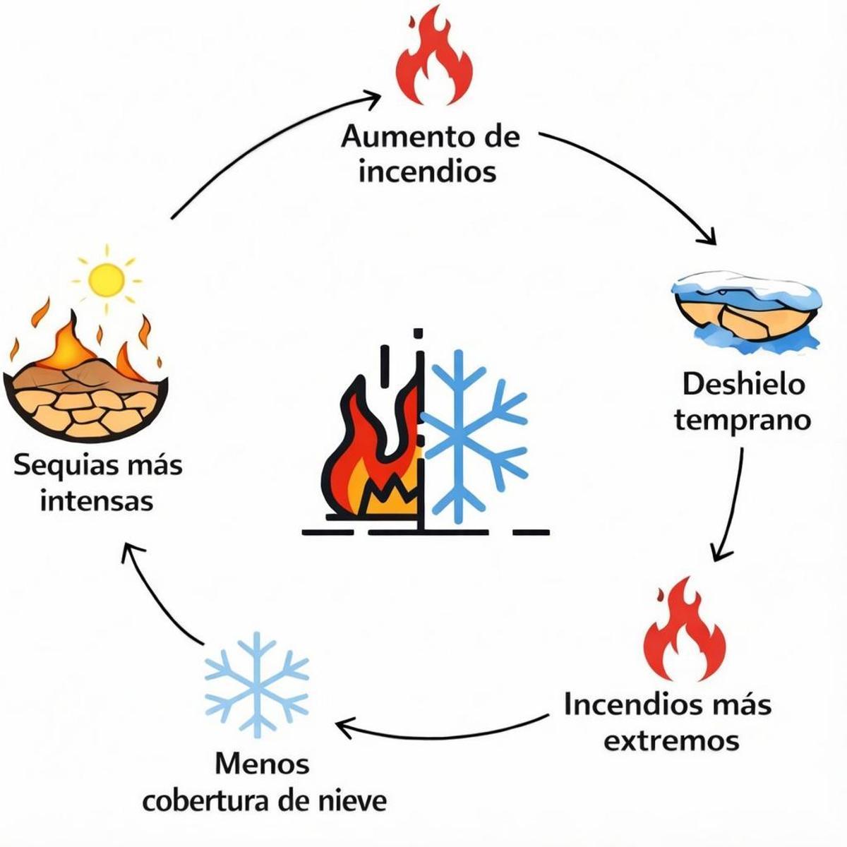 El círculo vicioso provocado por los incendios en el Ártico.