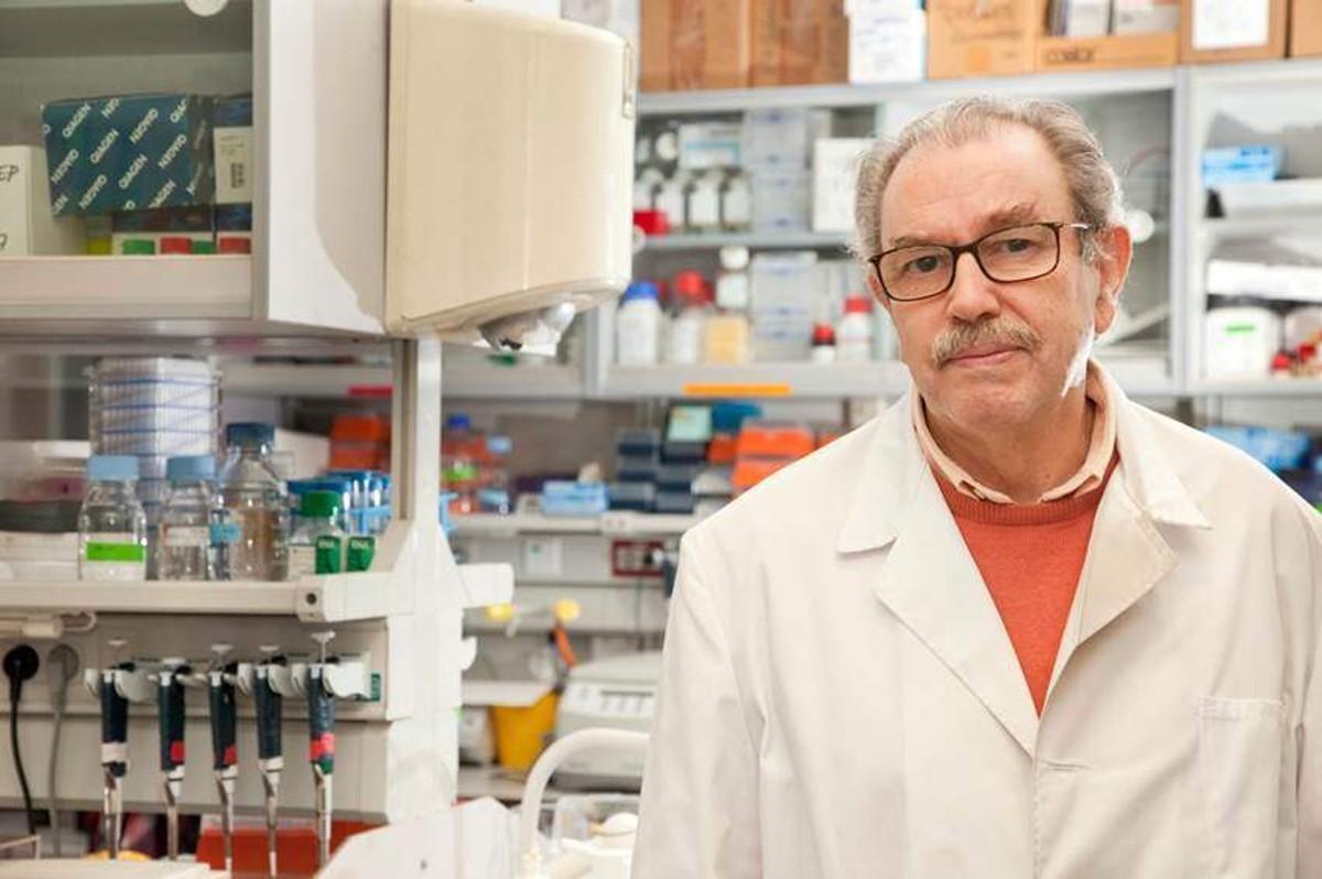 Vicente Lárraga, el investigador del CSIC que encabeza esta investigación