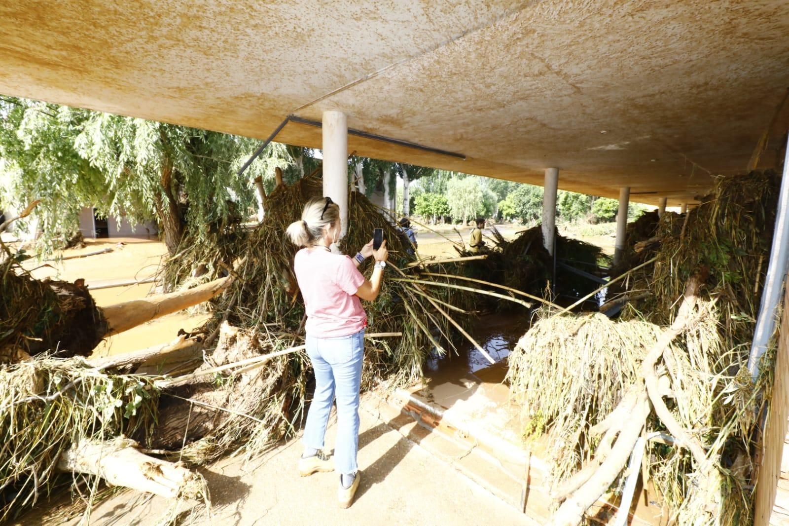 En imágenes | Así ha quedado Azuara tras la fuerte tormenta que causó destrozos este viernes
