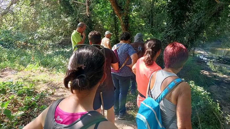 Participantes en la última andaina reivindicativa junto al río Miñor.