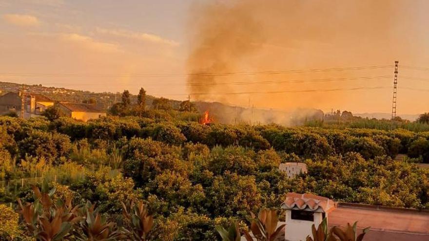 Incendio de cañas a principios de mes en el barranco de la Casella.