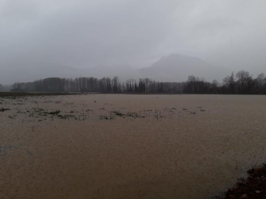 L'aspecte dels camps de la zona de Verntallat, a la Vall d'en Bas, arran del desbordament del riu FlLuvià