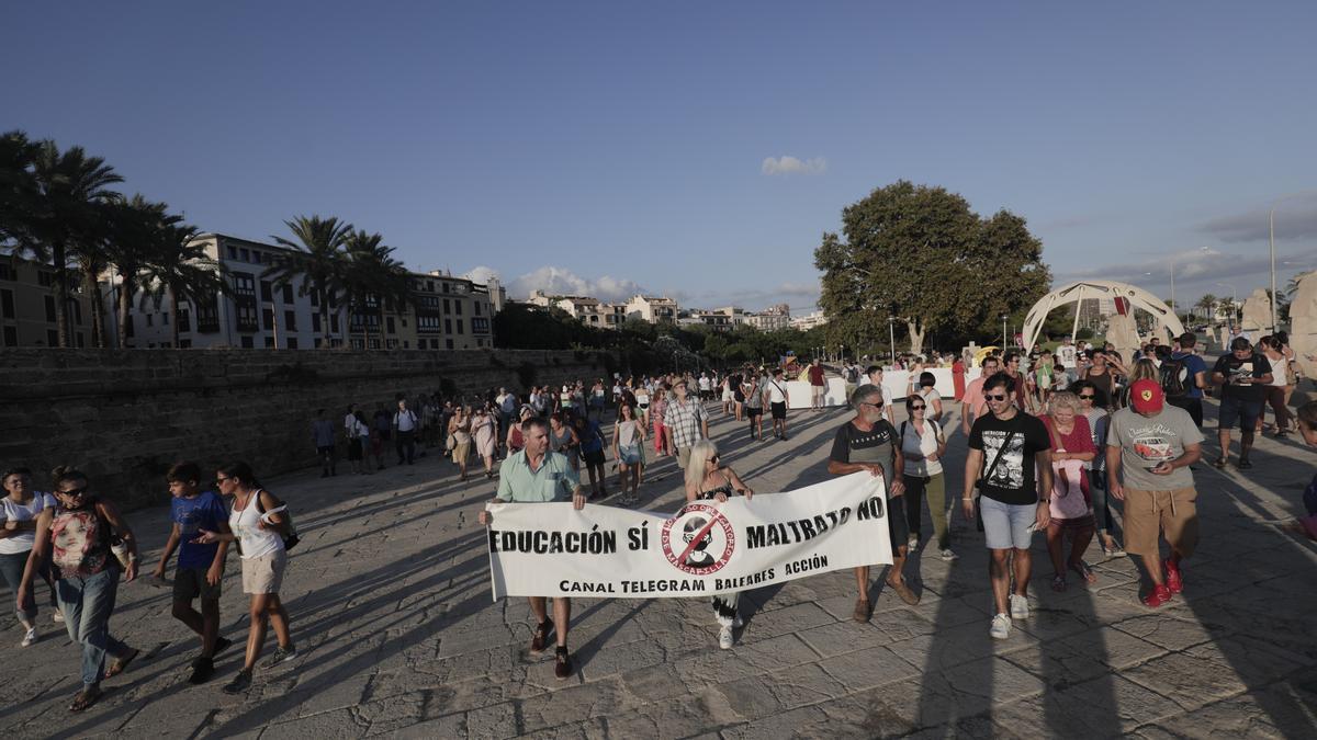 Manifestación de antivacunas en Palma