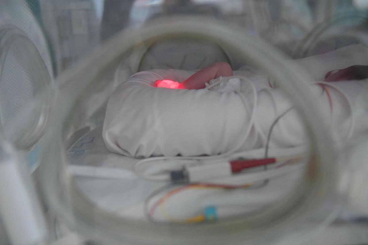 Una bebé gran prematura, en una incubadora, en la UCI de la Unidad de Neonatología del Materno.