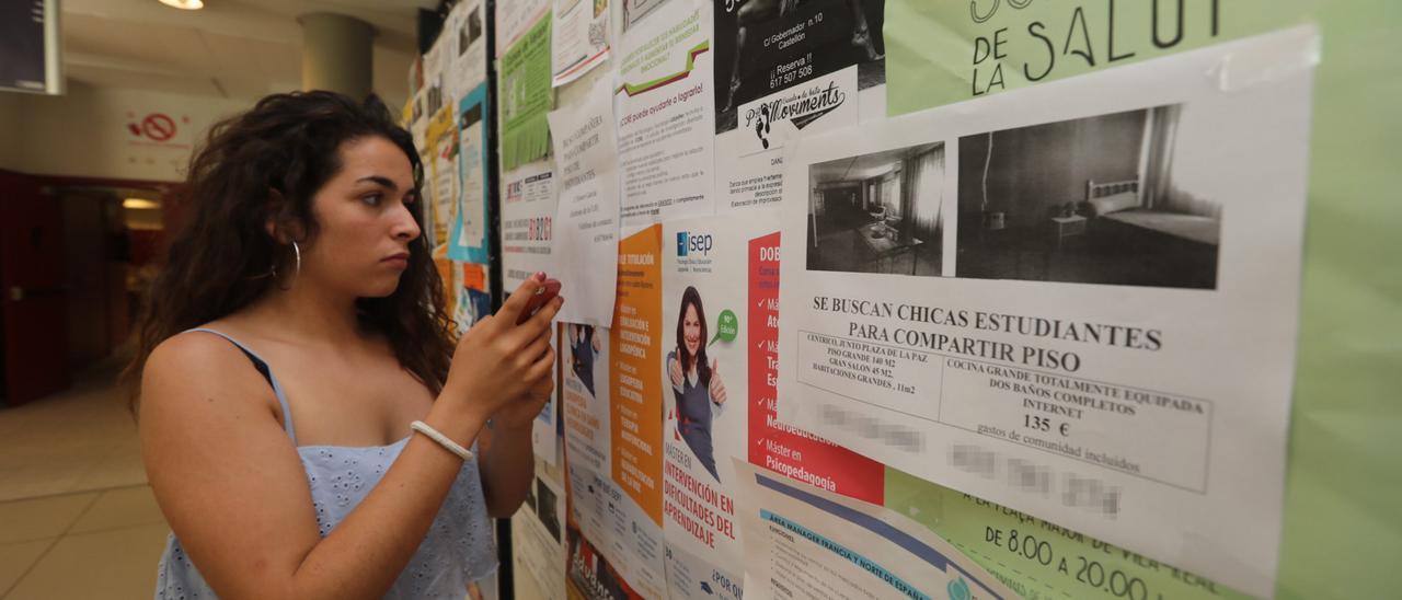 Una estudiante mira anuncios de alquiler de pisos en la UJI en imagen de archivo.