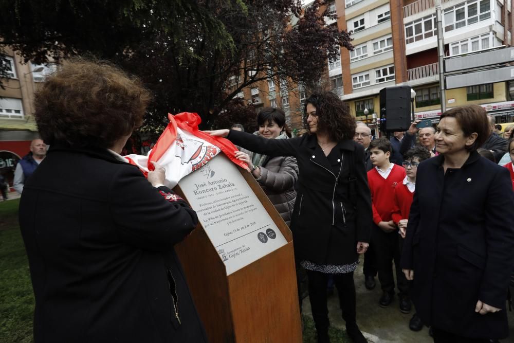 Inauguración del parque José Antonio Roncero en Gijón