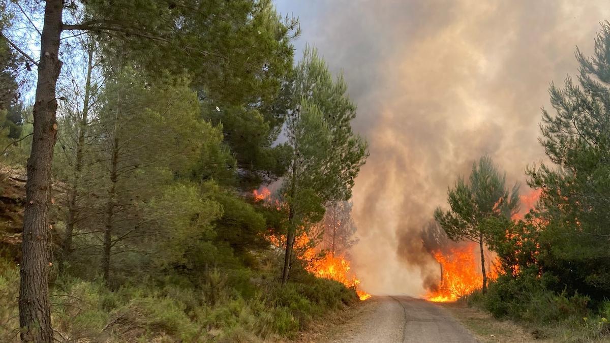 Espectacular avance de las llamas en el incendio forestal de Caudiel.