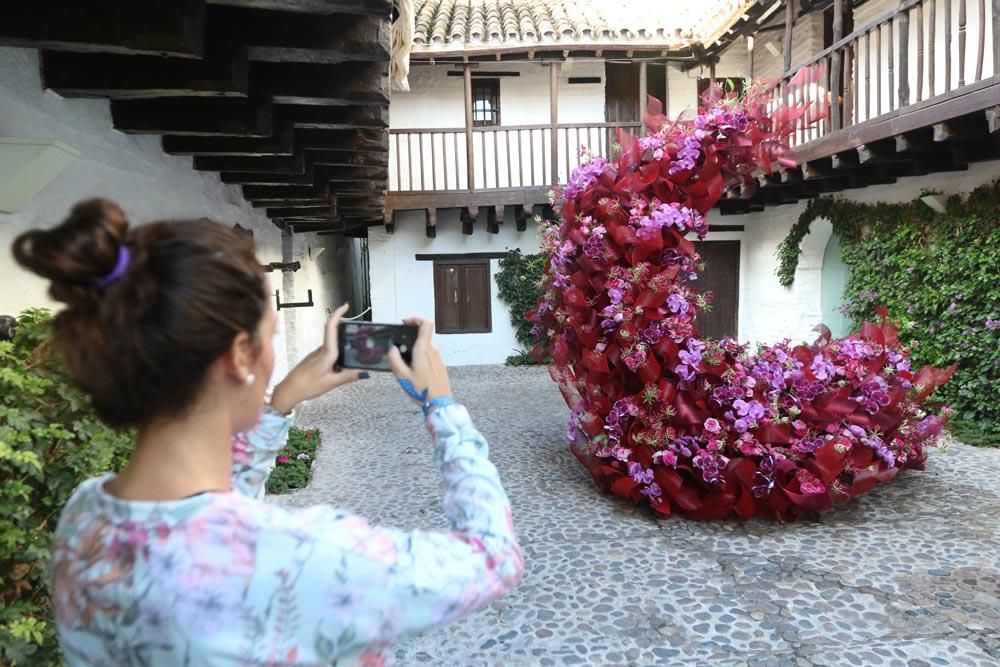 Los mejores artistas florales del mundo en Córdoba