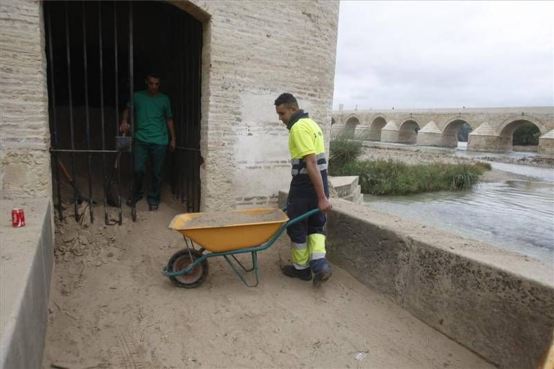 Labores de limpieza en el río Guadalquivir