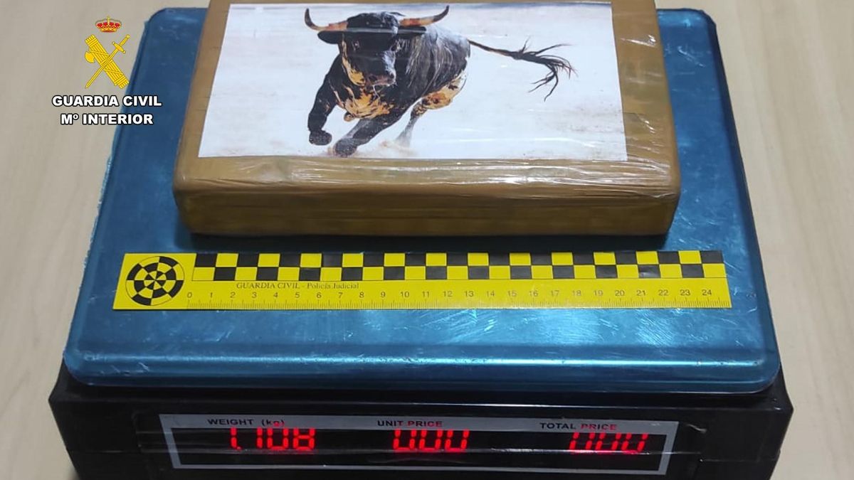 La cocaína intervenida por la Guardia Civil.
