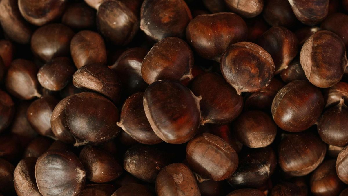 Castañas.