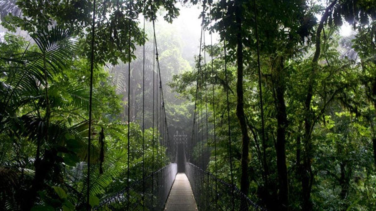 región de Monteverde, al noroeste de Costa Rica